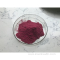 Natural Pure Mulberry Fruit Extract Powder